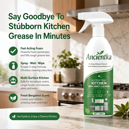 Ancientka Kitchen Grease Foam Cleaner