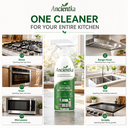 Ancientka Kitchen Grease Foam Cleaner