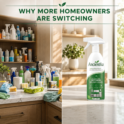 Ancientka Kitchen Grease Foam Cleaner
